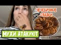 ВЛОГ наши будни | мухи в доме 🪰| пп оладьи из чечевицы