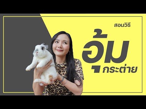 EP 16 วิธีอุ้มกระต่ายที่ถูกต้อง | Chabie Bird