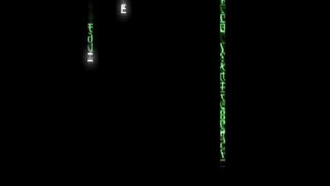 2007 Lambda Phi Epsilon SJU Formal Video Trailer