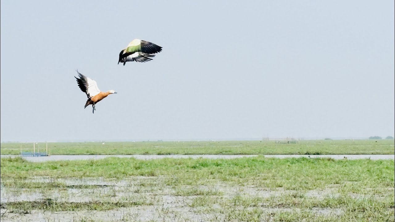 TRIP TO MANGALAJODI KHORDHA