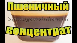 КОНЦЕНТРАТ ПШЕНИЧНОГО СОЛОДА. Будем делать пшеничную водочку. От Сан Саныча(, 2017-12-10T13:53:13.000Z)