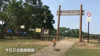大灘郊遊徑