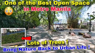 The Last Open Space Park in Ermita Manila ! Bringing Nature Back to Urban Life Part 2 by Johnny Khooo 4,336 views 3 days ago 11 minutes, 10 seconds