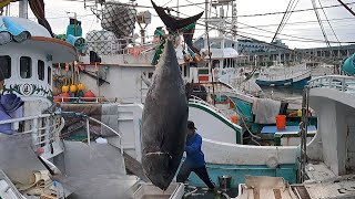 Unbelievable Precision: Massive 990lbs Tuna Expertly Sliced!