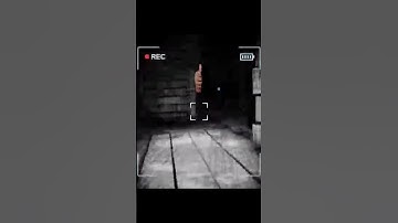 Double Streamer Attack - Content Warning