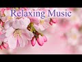 RELAXING PIANO 🎹 PEACEFUL CALM SLEEP MUSIC 🎵 Flowers 🌸