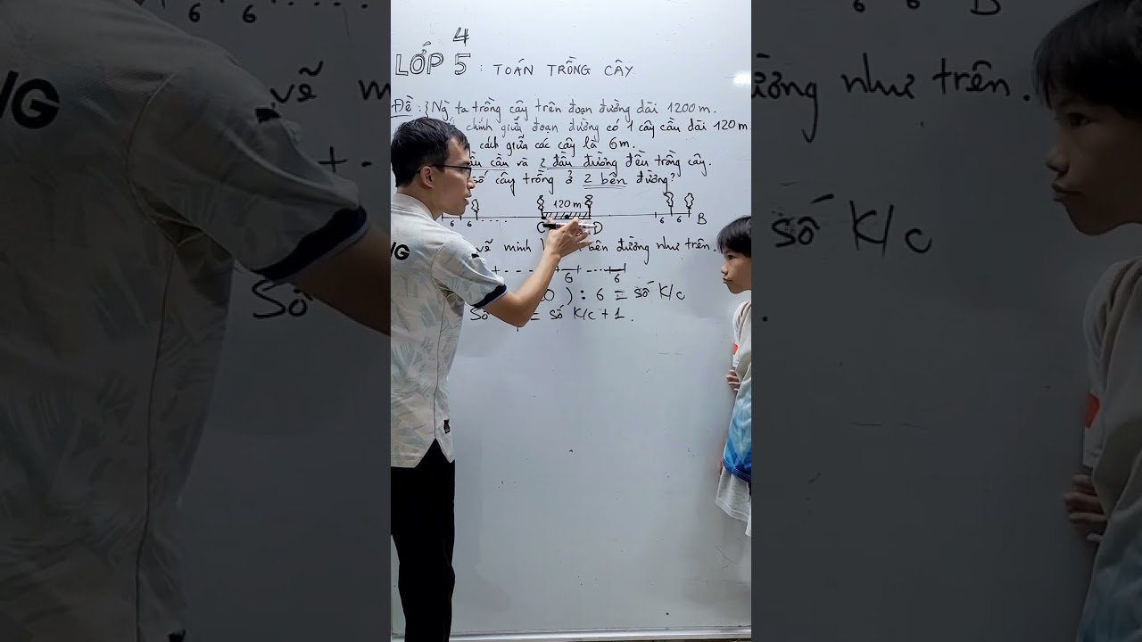 Toán lớp 5 - Toán trồng cây - Có cây cầu ở giữa