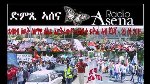 Voice of Assenna: Comments from Geneva Demonstration Participants - June 26, 2015 - Part 2