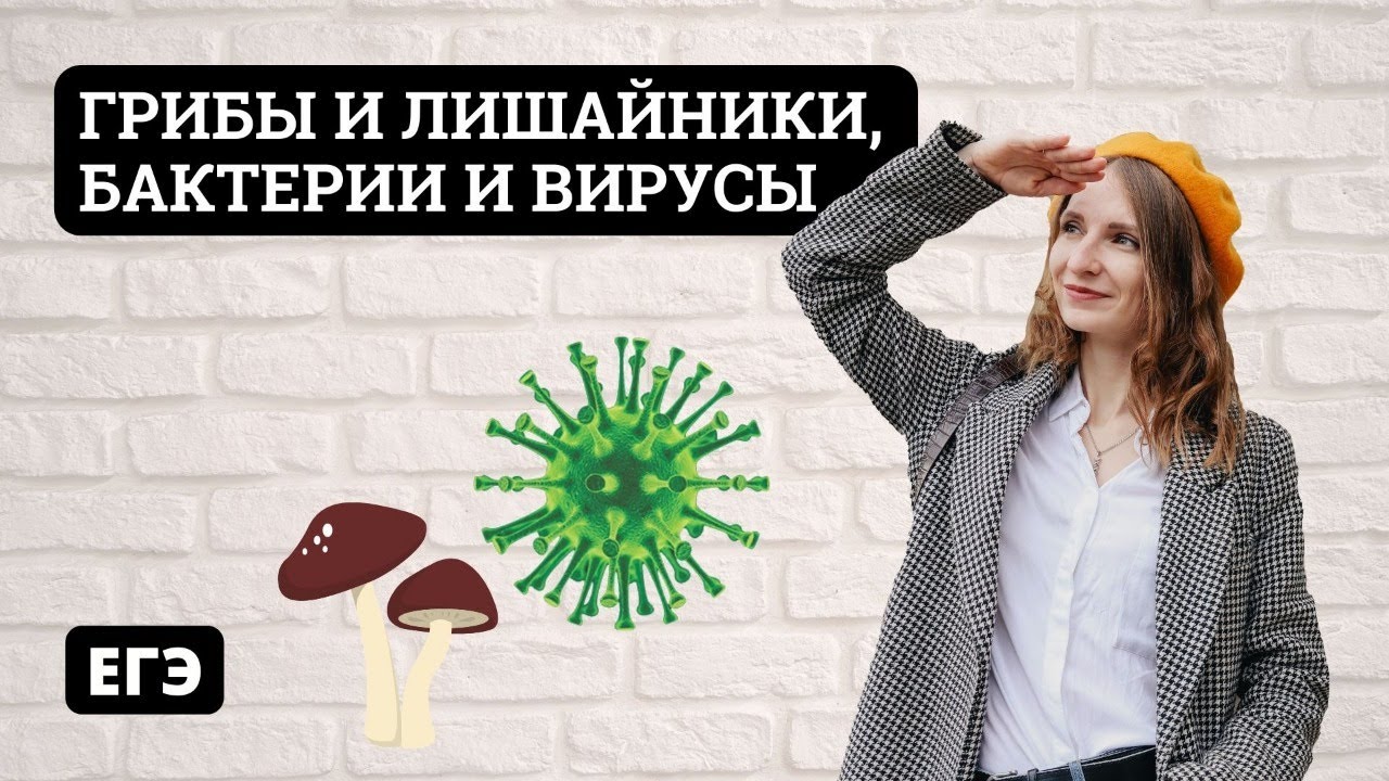 Грибы и Лишайники, Бактерии и Вирусы - YouTube