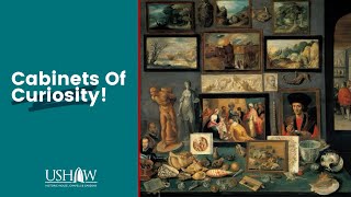 Cabinets of Curiosity!