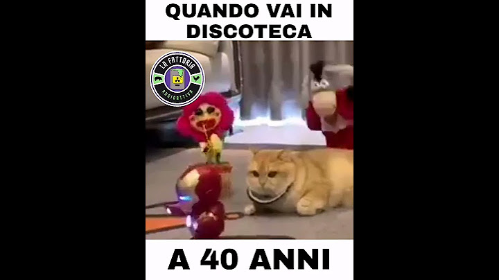 Quando vai in discoteca a 40 anni #lafattoriaradioattiva #gatto #gatti #memeitalia