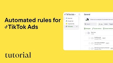 How to successfully manage TikTok Ads performance with Bïrch automated rules