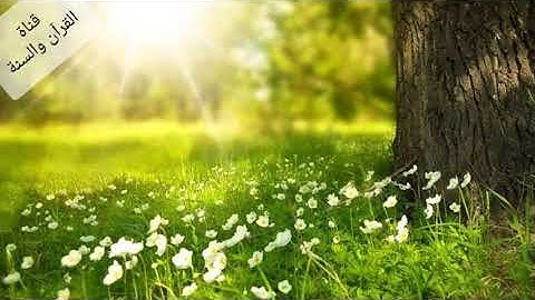 💞اسمع بقلبك💞تلاوة هادئة تريح القلب❤️سورة التوبة كاملة.ترتيل خاشع وصوت مؤثر لا يوصف.ارح سمعك🎧