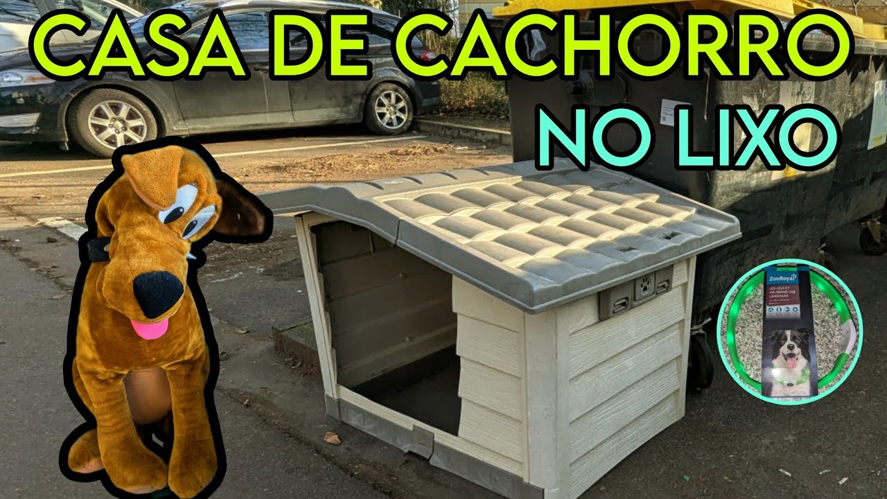 Enxoval completo para pet no lixo. Lixo ou Luxo?