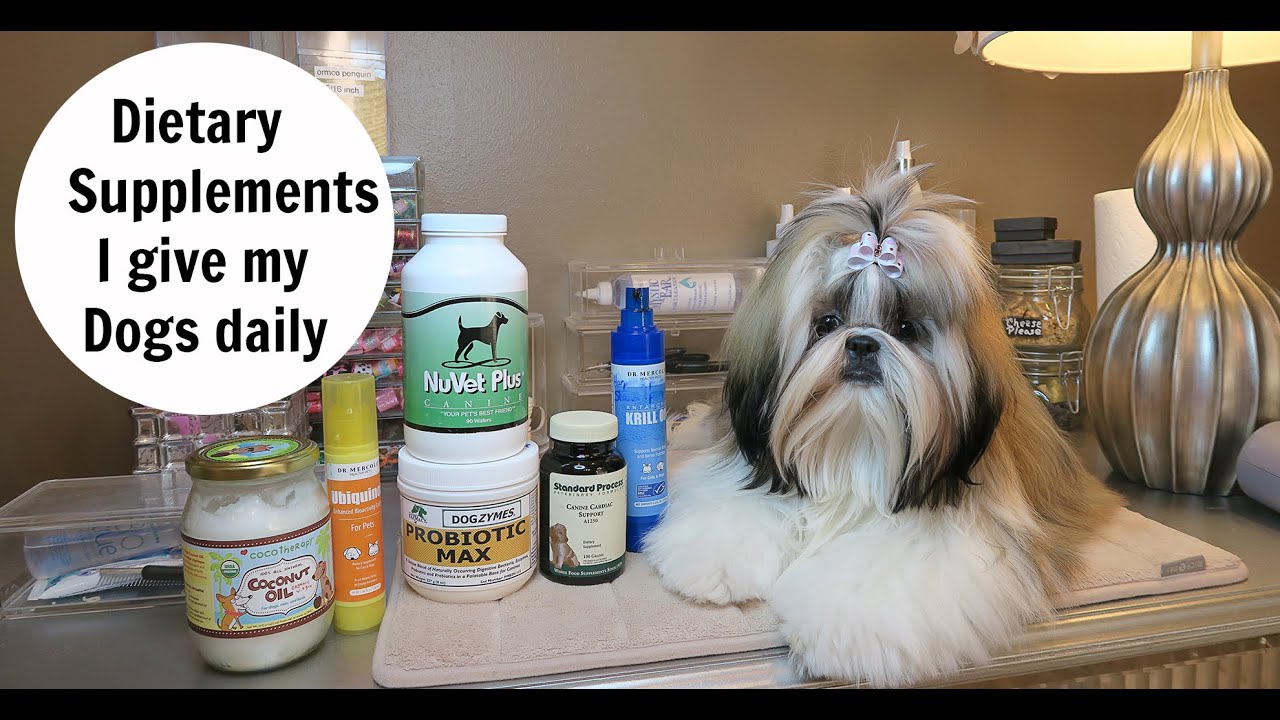 vitamins for shih tzu puppy