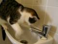Bo speelt met water