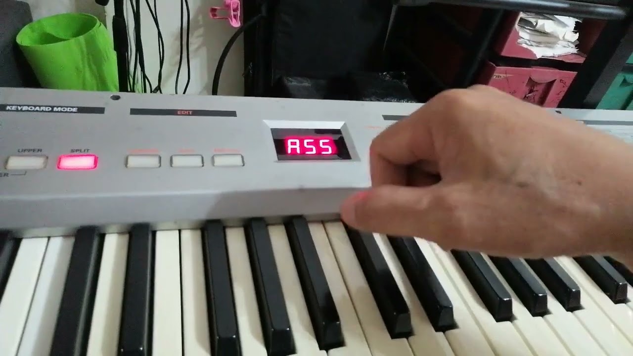 Roland A 37 Midi Keyboard Controller - Evolution Music