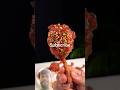 😛😘chicken lollipop recipe Indian trending 🥰🥰🥰🥰video viral # reels #short #video📷📷