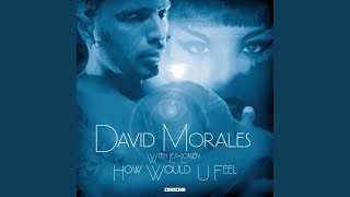 Miniatura del video "David Morales - How Would U Feel (Extended Mix)"