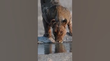 Script to video 20250429