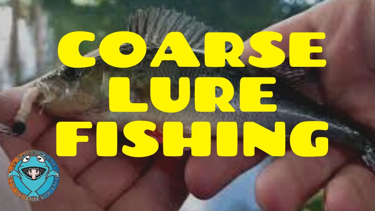 Coarse Lure fishing for perch and Rudd. #lurefishing #ukfishing - YouTube