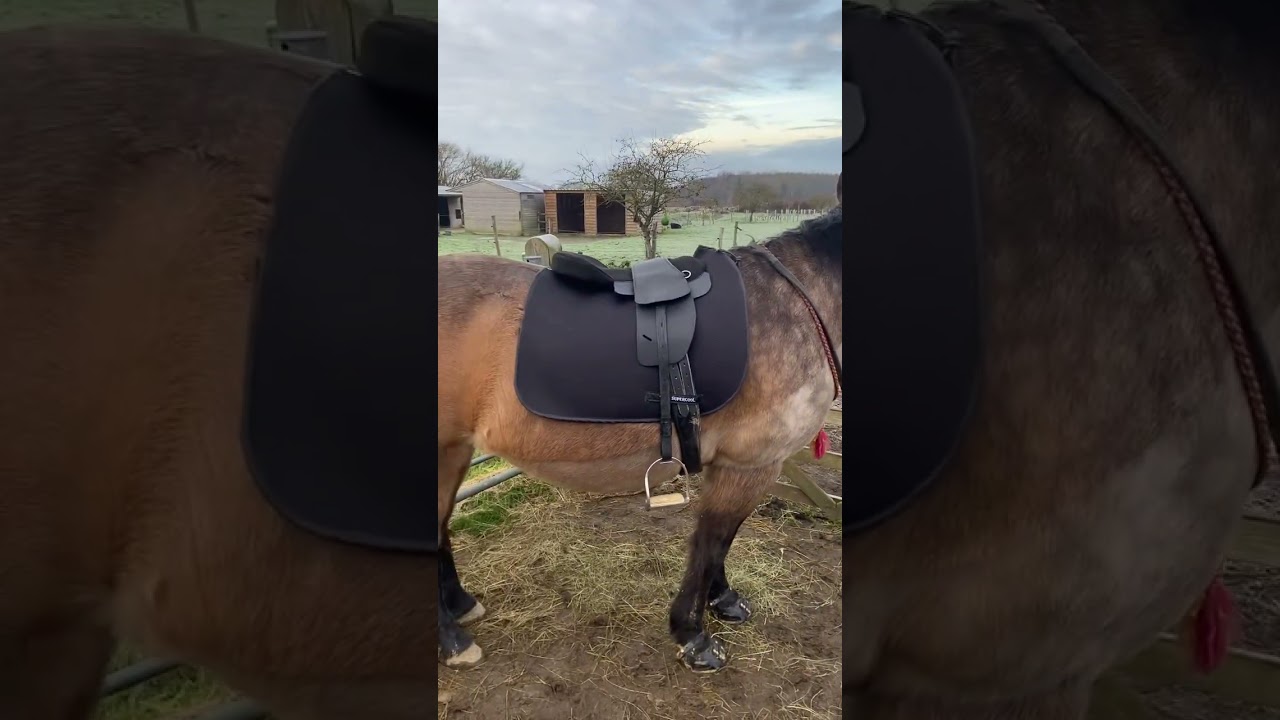 Testing the new Total Contact Saddle seat pad 2