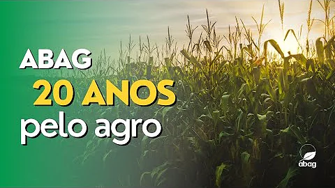 Quais as etapas da cadeia produtiva?