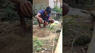 🧅🧅#experiment #shortvideos #shorts #amazing #farming #farmingsong #youtubeshorts #viralreels