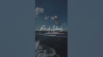 واصبر على ما يقولون واهجرهم هجراً جميلاً  #تلاوة_خاشعة #عبدالرحمن_مسعد  سورة المزمل