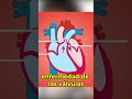 Corazón incapaz... #medicina #curiosidades #cardio #cardiology #infarto #hipertensãoarterial #fevi
