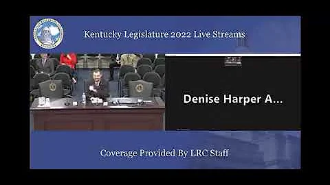 Sen. Denise Harper Angel Unloads during committee ...