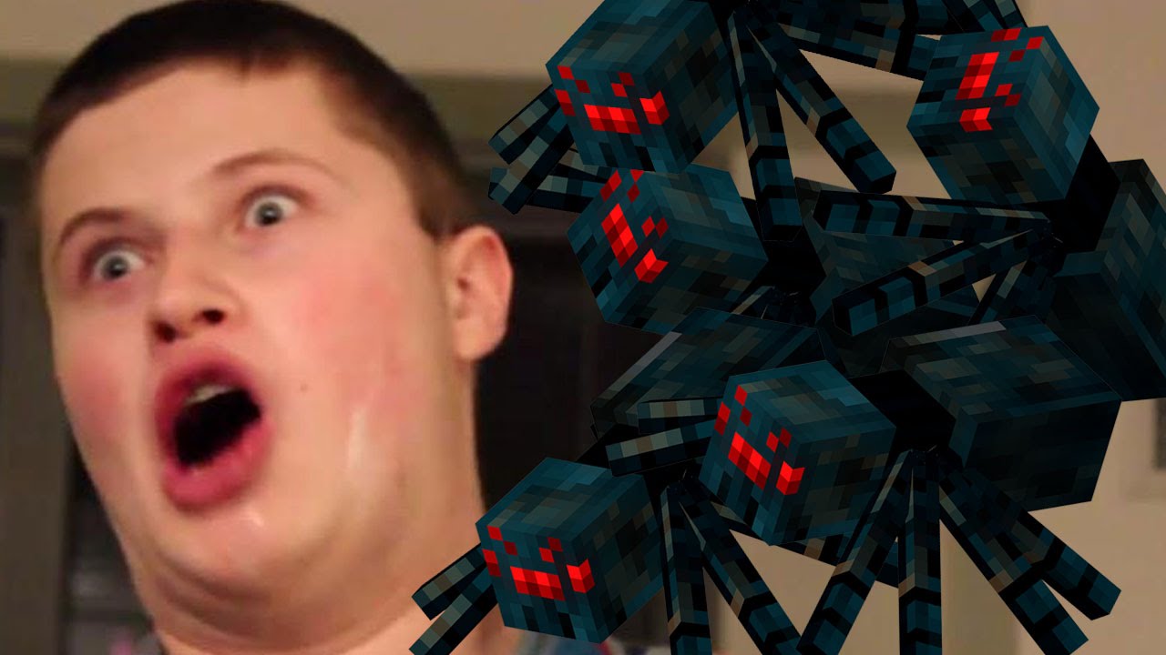 Graser Doesn't Like Spiders