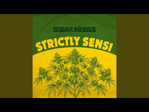 Strictly Sensi (12-inch mix)