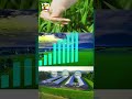 Guyana is transforming agriculture through smart investments.