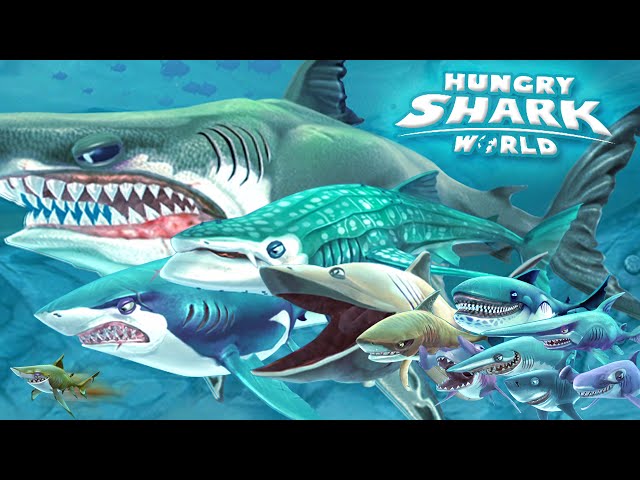 all sharks  tips  strategies  hungry shark world