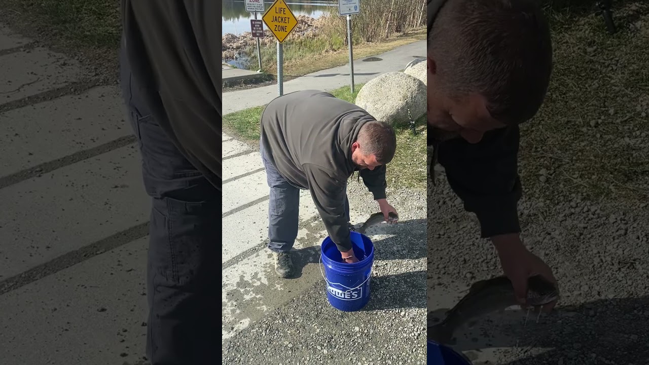 Finger Lake Alaska 05/13/2024 fishing report / water conditions