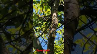 las mejores canciones del recuerdo