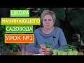 ШКОЛА НАЧИНАЮЩЕГО САДОВОДА! КАК ОБРАБОТАТЬ СЕМЕНА, ЧТО ЗА ЧЕМ ИДЕТ!