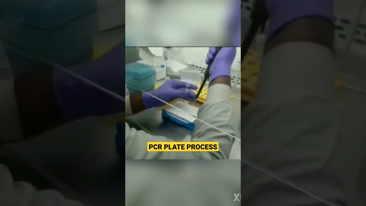 MAKING OF PCR PLATE PROCESS