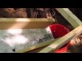DIY Shed AsktheBuilder Pier Form Concrete Chute DIY Shed AsktheBuilder Pier Form Concrete Chute