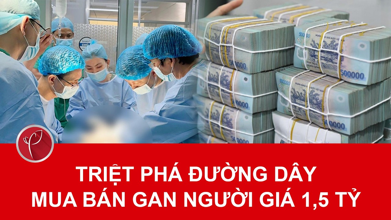 Bản tin tối 1/3. Đường dây mua bán một lá gan giá 1,5 tỷ đồng hoạt động thế nào?