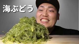 【咀嚼音】プチプチはじける海ぶどうを食べたら沖縄の海が広がりました
