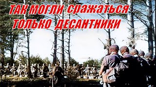 Об том рейде батальонов десантников в тылу врага 1942 года.@VoyennyyeMemuary