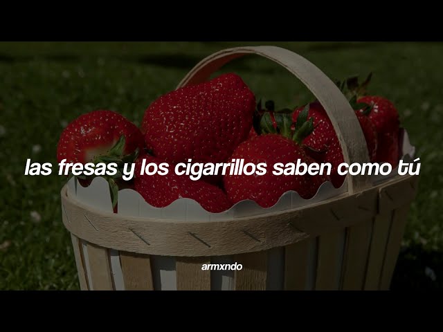 Troye Sivan — Strawberries & Cigarettes [Sub. Español] class=