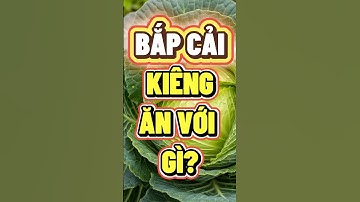 BẮP CẢI KIÊNG ĂN VỚI GÌ?  #nhipsongxanh #chamsocsuckhoe #bapcaikienggi  #songkhoemoingay #songkhoe