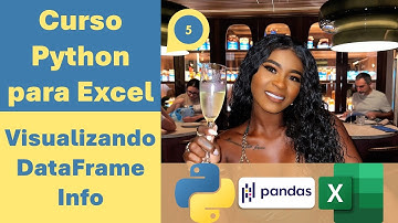 🔊 Curso Python para Excel 5.- Visualizando DataFrame Info