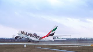 Emirates is United for Wildlife | World Wildlife Day