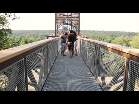 Video: Ar galite žvejoti medžių lajų parke?