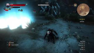 Beating Eredin on Death March in 5 minutes - The Witcher 3