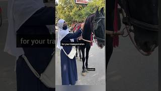 He Created Horses, Donkeys For Us